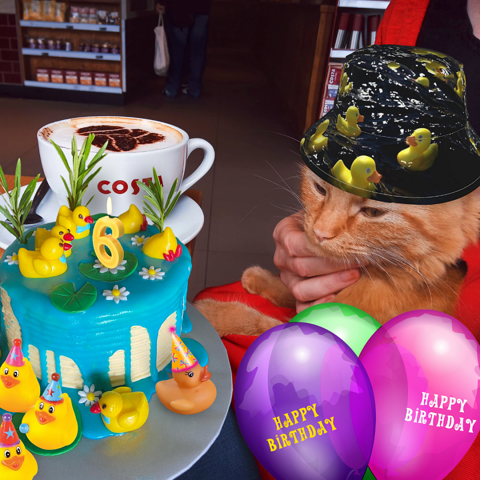 Little Ragnar celebrates his sixth birthday! 🎂🎈🎁😻